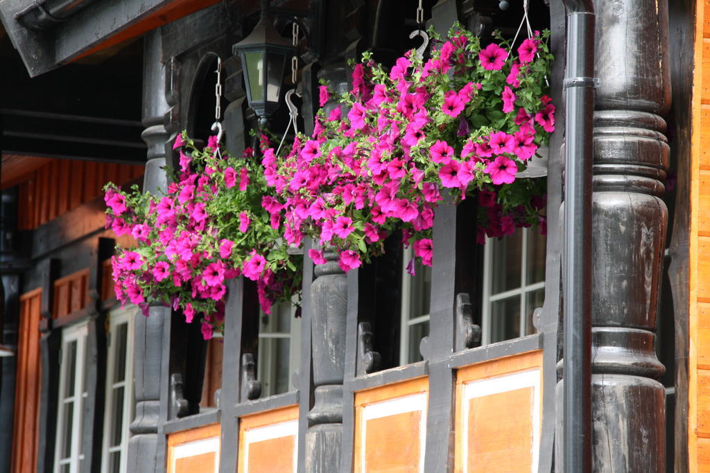 Solvgarden Cottages Rysstad Экстерьер фото